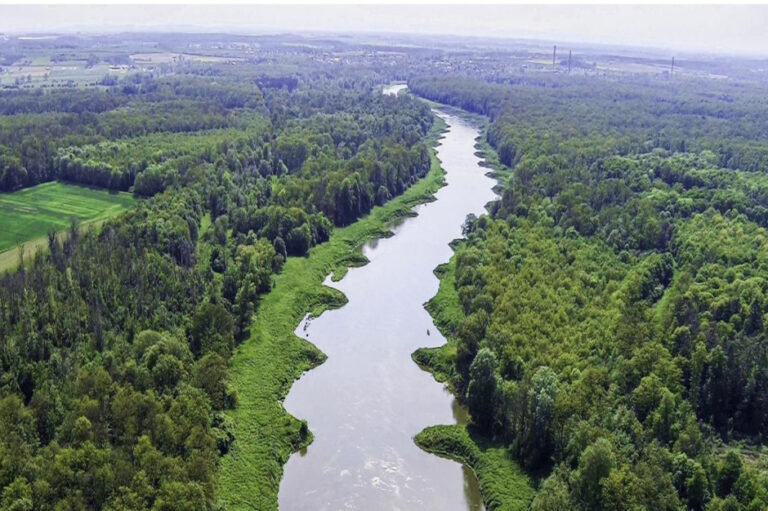 Gazowe ogrzewanie 2026: Efektywne inwestycje