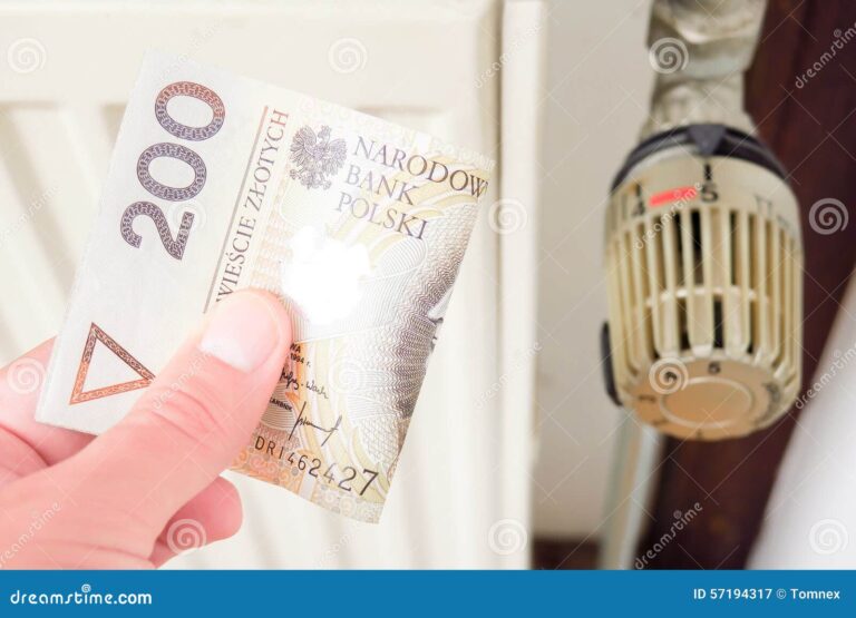 Domy w Polsce: Nowoczesne systemy ogrzewania jako rozwiązanie na wysokie koszty ciepła