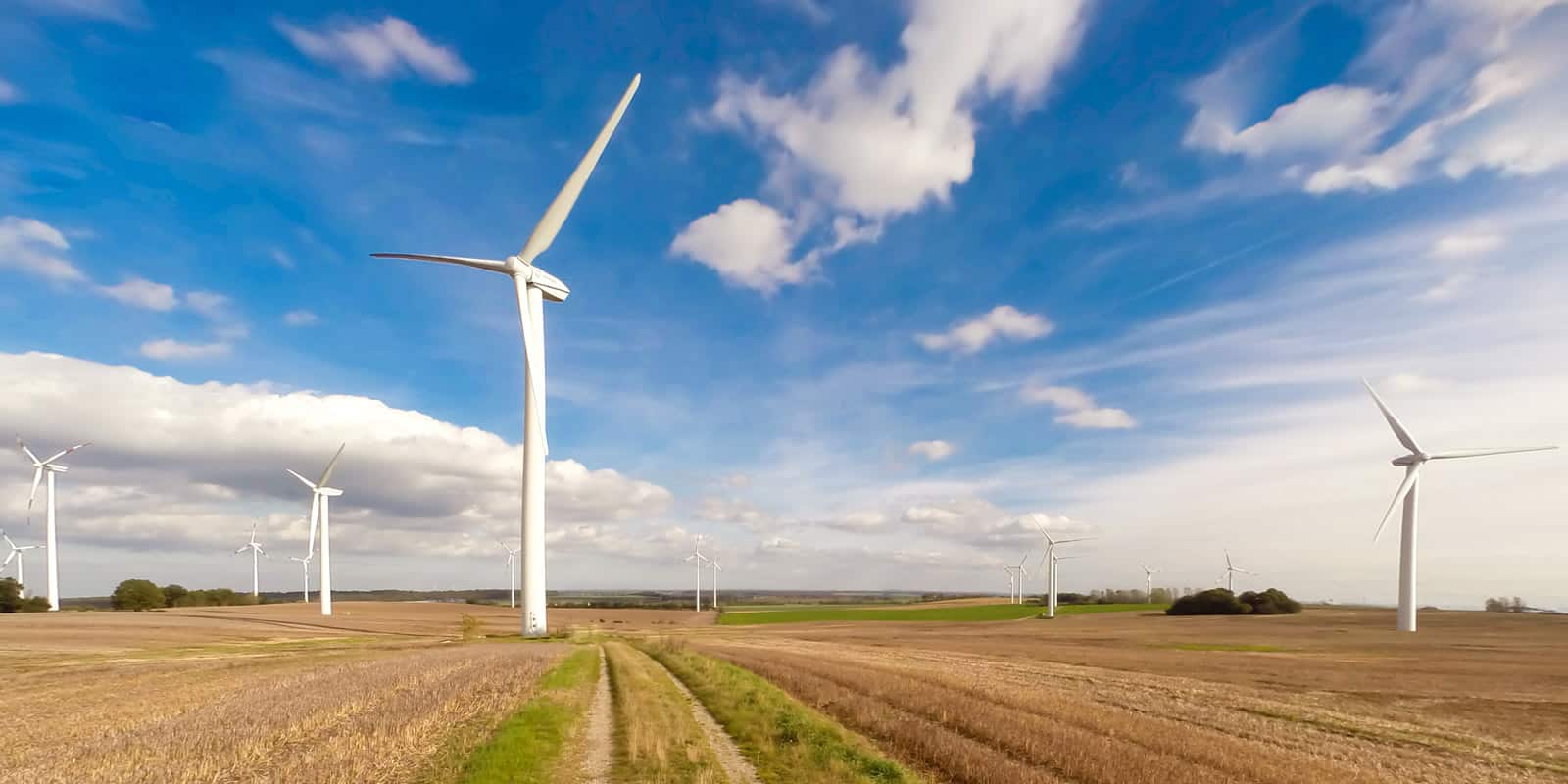 Lądowe turbiny wiatrowe nie obniżają cen gruntów: Debunkowanie popularnego fake news