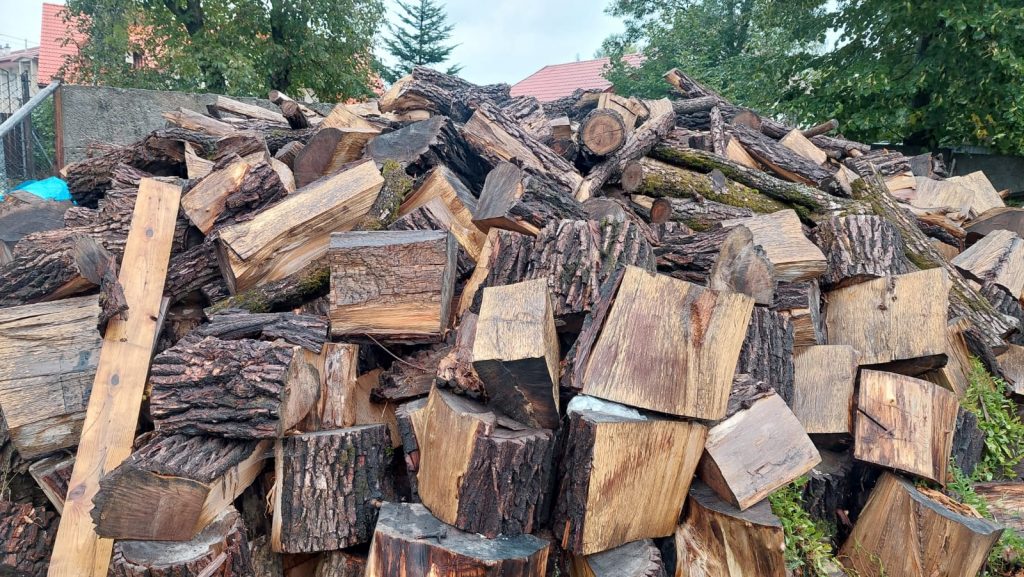 Autumn firewood shortage threat: Disappearing firewood for home heating