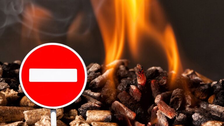Drewno-palenie-zakazane-UE-2026-emisje-CO2