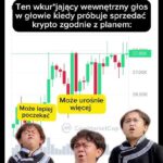 Audyty kryptograficzne systemów kryptograficznych z dużej ilością poufnych danych.