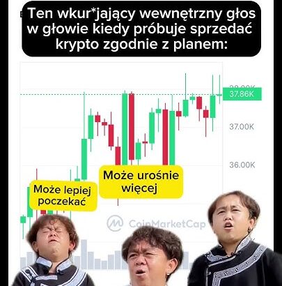 Audyty kryptograficzne systemów kryptograficznych z dużej ilością poufnych danych.