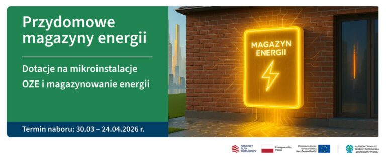 Dopłaty do magazynu energii dla prosumentów w Polsce.