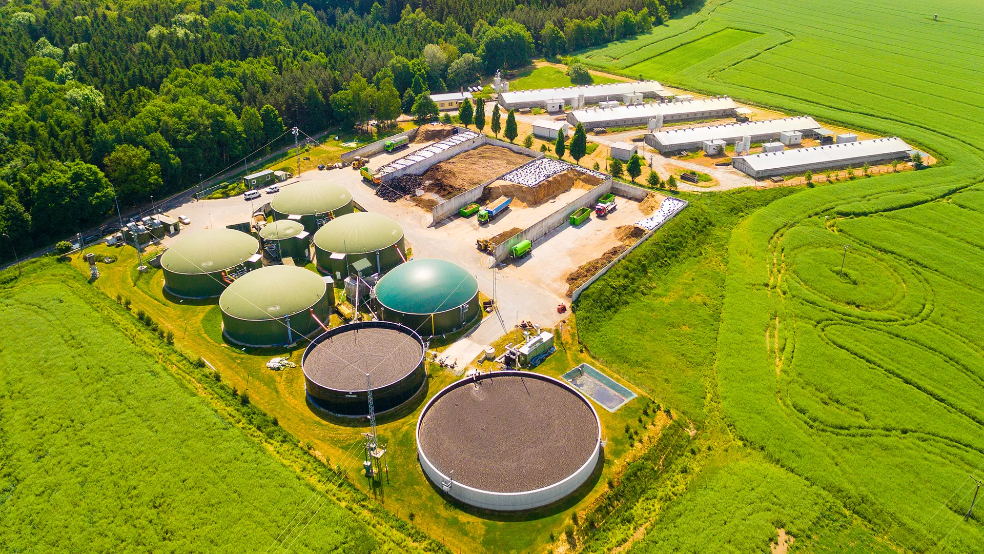 Kocioł na biogaz w przemysłowym zakładzie, redukujący emisję gazów cieplarnianych